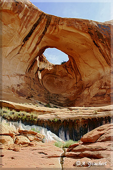 Bow Tie Arch 